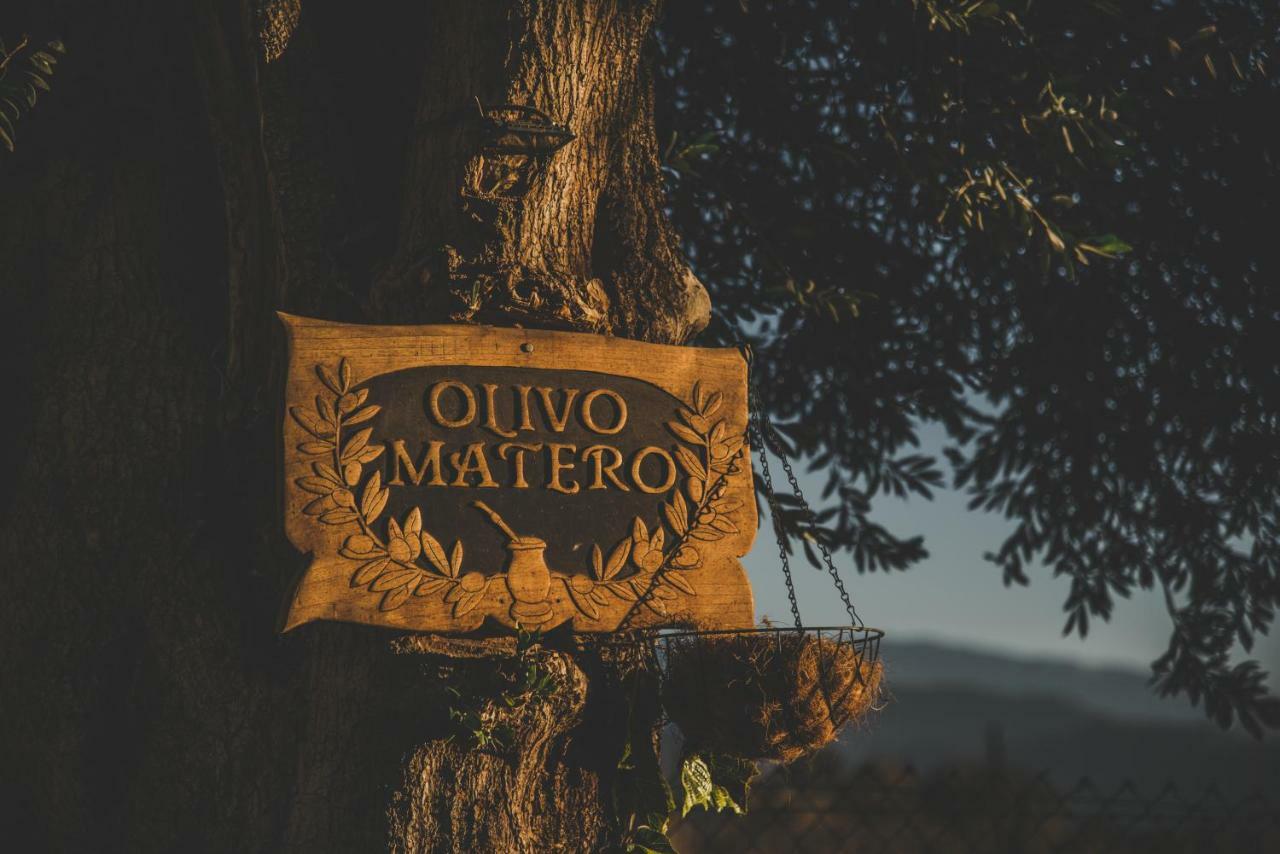 Casona Del Pino, Hotel Boutique Fiambalá Zewnętrze zdjęcie